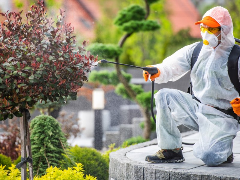 Konak Haşere İlaçlama